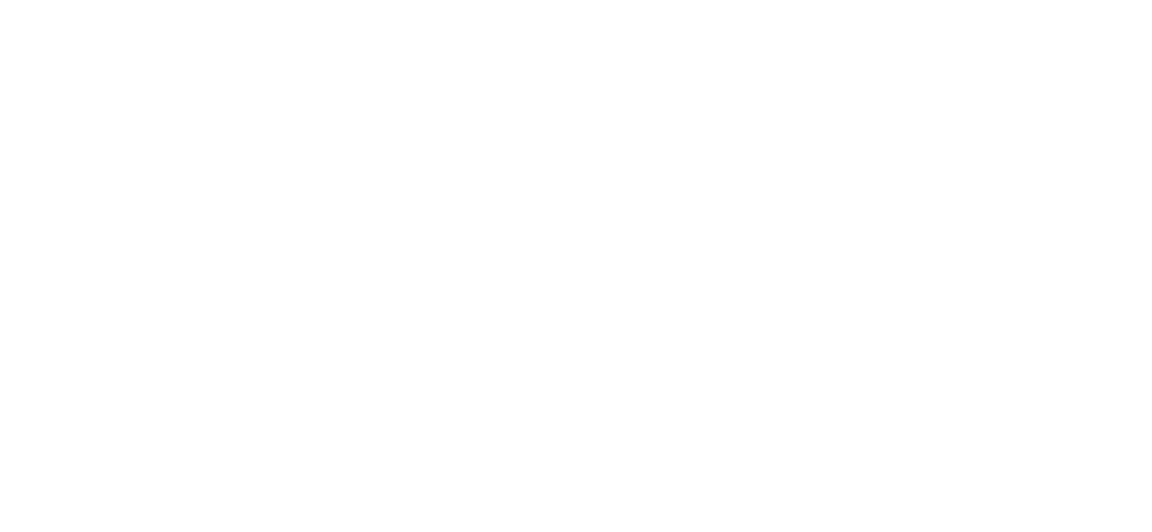 Festival do Rio